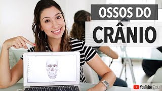 Ossos do crânio Sistema Esquelético 35  Anatomia etc [upl. by Sephira]