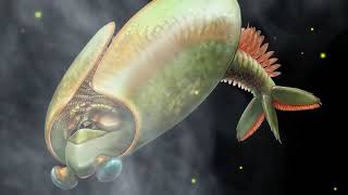 Ancient swimming ‘taco’ had ‘bug jaws’ new fossils show [upl. by Lad746]