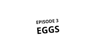 Quality Content Eggs [upl. by Arym]