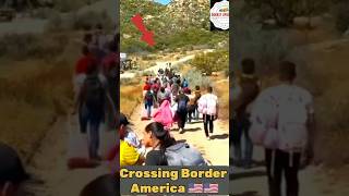 Mexico To Usa Border Crossing 🇺🇲  Usa Donkey shorts part 96 [upl. by Legnalos]