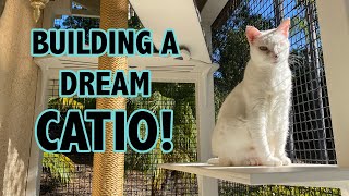 Building a Catio for my Cats From Start to Finish [upl. by Alida]