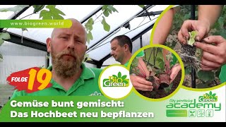 Folge 19 🥬🥒  Das Hochbeet wird neu bepflanzt [upl. by Dona]