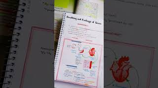 Breathing and exchange of gases class 11neetlikesubscribeviralvedio [upl. by Ettennaj242]