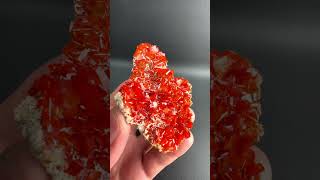 Wulfenite from Ojuela Mine Durango Mexico  Fine Art Minerals  Wulfenite [upl. by Ahsineg]