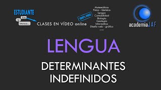 Los determinantes indefinidos  Lengua Española análisis morfológico  academia JAF [upl. by Galliett]