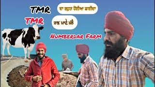 ਵੇਖੋ TMR ਨਾਲ ਪੱਠੇ ਪੌਣ ਦਾ ਤਰੀਕਾ [upl. by Bevus]