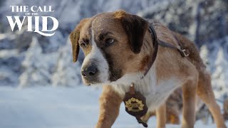 The Call of the Wild  New Lead Dog Clip [upl. by Brunell]