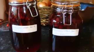 Blackberry Vodka and Sloe Gin [upl. by Akemat]