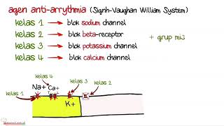 Cara kerja obat anti aritmia II obat sotalol [upl. by Joliet]