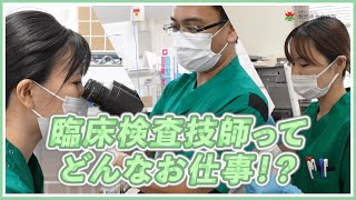 【教えてナントク！】臨床検査技師ってどんなお仕事？【先輩技師インタビュー】 [upl. by Siloam]