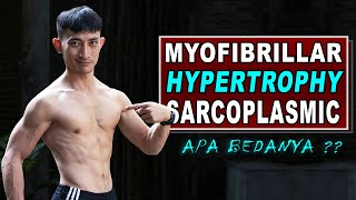 Hipertrofi Otot  Hypertrophy Myofibrilar amp Sarcoplasmic Serta Latihannya [upl. by Stenger]