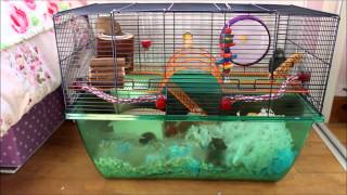 New Gerbilarium  Cage Tour and Review Savic Large Gerbilarium [upl. by Adli684]