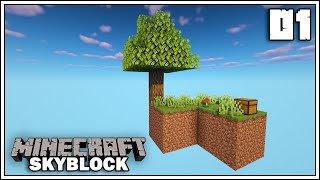 LETS GET STARTED ► MINECRAFT SKYBLOCK SURVIVAL ► EPISODE 1 [upl. by Drugge310]