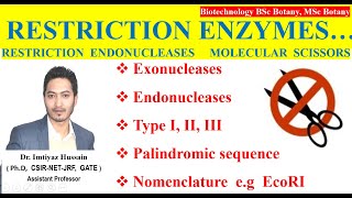 Restriction Enzymes botany biotechnology  Restrictions Endonucleases Molecular scissors [upl. by Aleen]