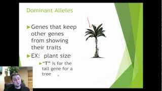 Introduction to Genetic Crosses [upl. by Cairistiona25]