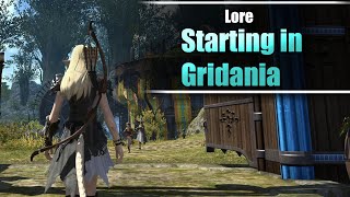 Starting your journey in Gridania  LORE [upl. by Liv]