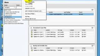 QuickBooks Accountant 2012  File Manager [upl. by Eceinhoj]