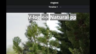 Panasonic VLog vs Natural picture profile  Shot on Lumix S5II [upl. by Sirtimid]