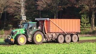 dewulf Ra 306 mit Grimme Varitron 270 beim rote Beete roden [upl. by Kcaz]