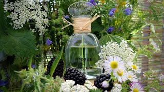 HERBAE by LOccitane en Provence 2019  fragrance review [upl. by Adalard]