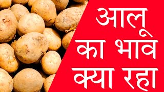 17 October 2024 aalu bhav today  all India market potato rate  aaj ka aalu ka bhav Mandi [upl. by Alleber]