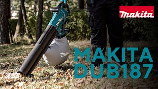 Makita DUB187 обзор аккумуляторной воздуходувки [upl. by Yolanda322]