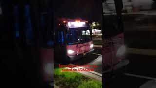 2019 New Flyer XN60 on route 8 Bus 279 [upl. by Courcy691]