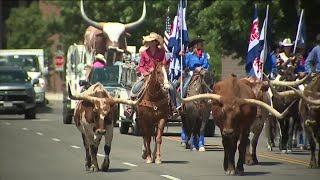 Greeley Stampede starts today with Longhorn Parade [upl. by Drobman]