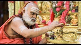 Special Puja to Sri Narasimha Swami at Gurunivas Narasimhavana Sringeri on Narasimha Jayanti [upl. by Reeva]