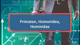 Primaten Homonidea Hominidae [upl. by El]