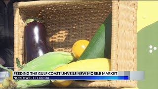 Feeding the Gulf Coast launches new program Millie the Mobile Market [upl. by Ahsi]