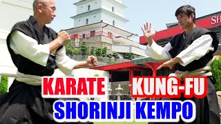 Karate Master meets Kungfu and Shorinji Kempo  Detailing amazing skills [upl. by Goodhen]