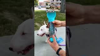 How to Use Portable Dog Water Bottle 3in1 Feeder Drinker amp Poop Dispenser 🐕 shorts dog [upl. by Marden]