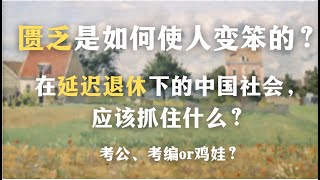 一集看懂中国人迷信铁饭碗的根源：匮乏是如何使人变蠢的？在延迟退休下的中国社会，应该抓住什么？｜考公｜考编｜鸡娃｜创伤｜ [upl. by Libove994]