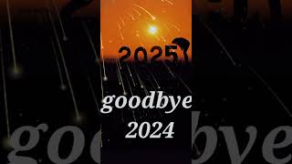 goodbye 2024 [upl. by Xavier]