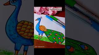 How to draw Peacock 🦚  Peacock drawing easy step by step with colour 😍✨ [upl. by Hahsia]