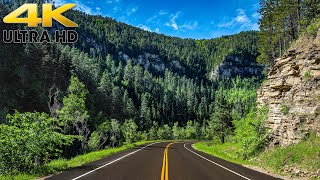 Colorado Rocky Mountain Scenic Drive on Grand Mesa Scenic Byway 4K [upl. by Averi917]