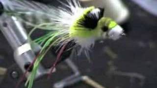 Tying a Dahlberg Diver  Part 4 [upl. by Froehlich737]