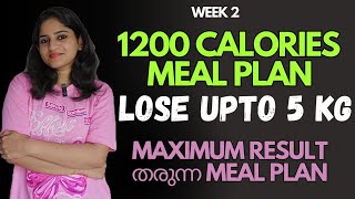 Week 2 Maximum Weight Loss  21 Days Challenge  N E A T techinque [upl. by Verlie]