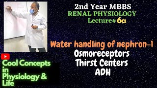 6a Water handling 1 Osmoreceptors Thirst centers  ADH  Guyton 2ndYR MBBS Physiology RENAL [upl. by Annonyw]