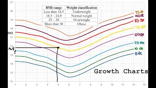 BMI and growth charts Gr11amp 12 Maths Lit [upl. by Suruat114]