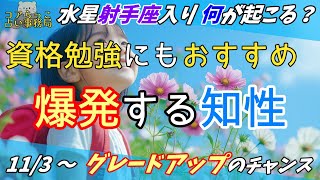 【知性が爆発！？】113 水星射手座入りのポイントを解説 ～射手座パワーで「学び」の冒険へ！～ [upl. by Ahsille122]