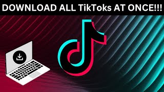 How to download all your TikTok videos at once  NO WATERMARK STEP BY STEP FREE [upl. by Elletnwahs824]