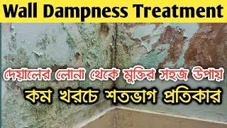 Wall dampness treatment  How to Repair Damp Wall  DAMP wall treatment লোনা কী  কীভাবে দূর করবেন [upl. by Dnalyr95]