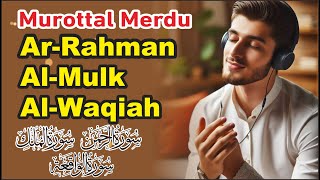 Murottal Merdu Surah ArRahman AlMulk AlWaqiah Irama Jiharkah [upl. by Arv767]