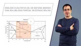 Análisis cualitativo de un sistema binario con solubilidad parcial en estado sólido [upl. by Liesa]