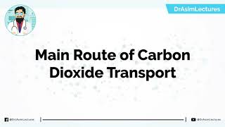 Transport of Carbon dioxide in Blood  Hindi  Urdu [upl. by Annawit]