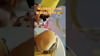 Buckwheats Birthday Special funny memes beanieboos cheeseburger fries whopper [upl. by Akkeber]