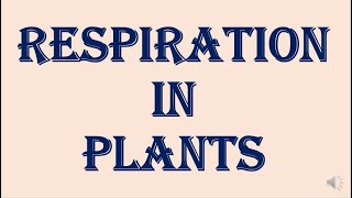 Respiration  in Plants  HPU BSc 2nd year [upl. by Ysnat]