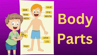 Body parts song for kids  Body parts name  Body parts song [upl. by Jaala793]